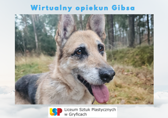 c_340_240_16777215_0_0_images_psy_Gibs_Wirtualny_opiekun_Gibsa.png